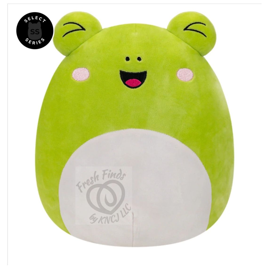 Squishmallows Wyatt the Frog 12 Inch Rare Select Series