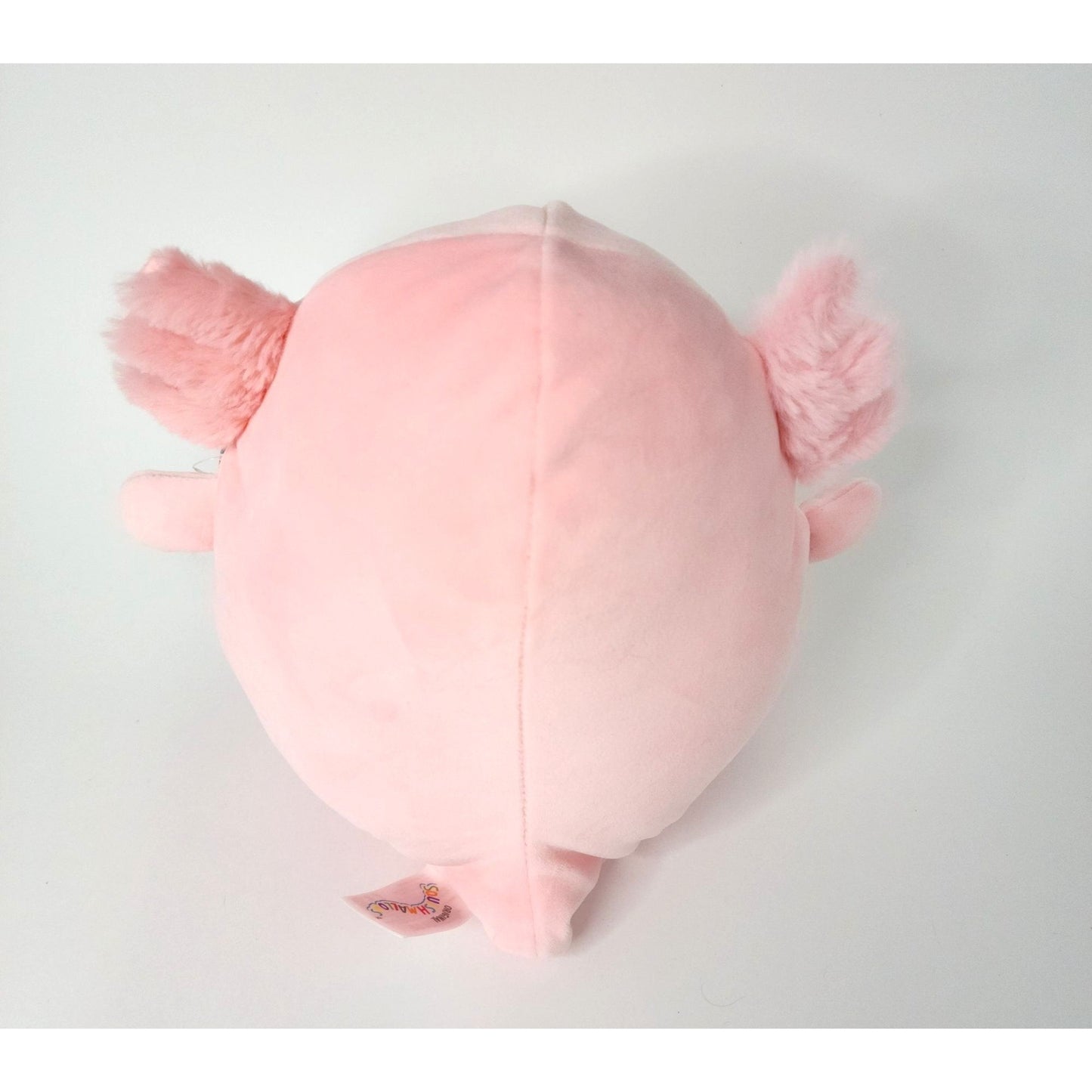 Original Squishmallows Archie Pink Axolotl 8 inch Cracker Barrel Exclusive